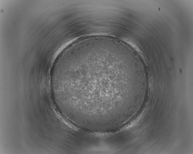 X0000063460933200601271600