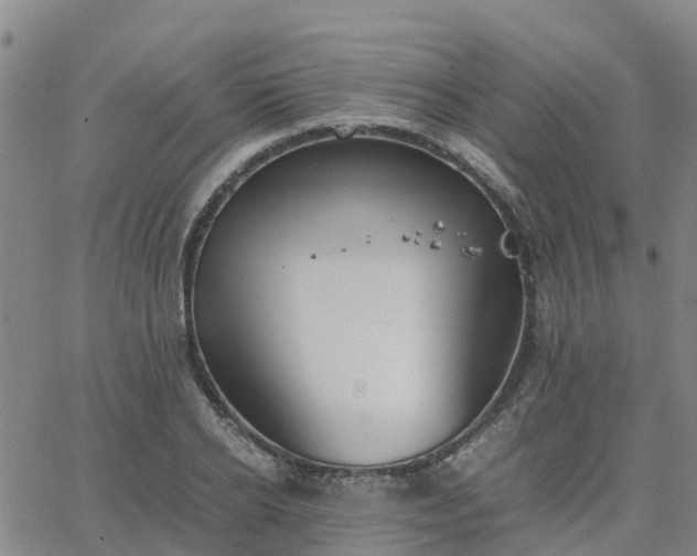 X0000063460934200601271600