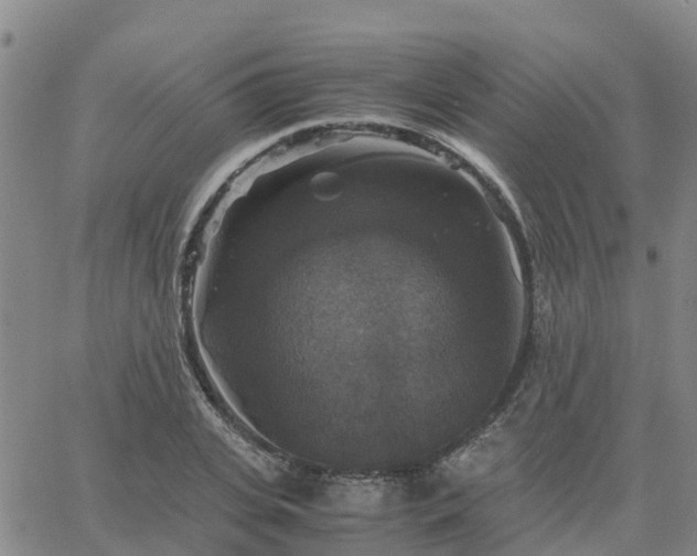 X0000063460935200601271600