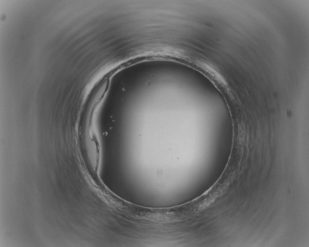 X0000063460936200601271600