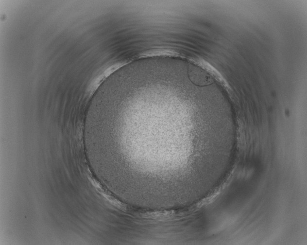 X0000063460937200601271601