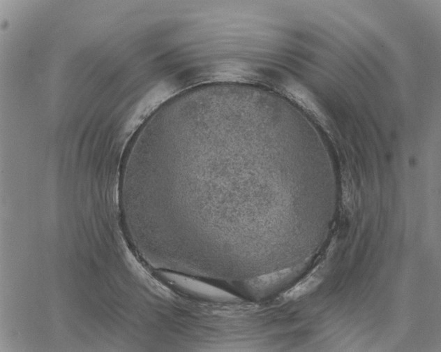 X0000063460938200601271601