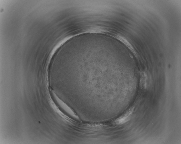 X0000063460939200601271601