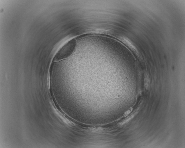 X0000063460940200601271601