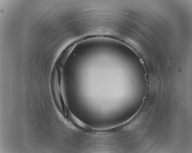 X0000063460942200601271601