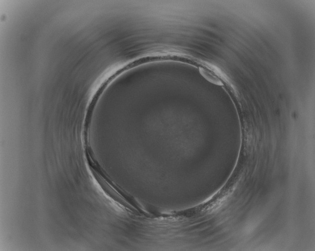 X0000063460943200601271601