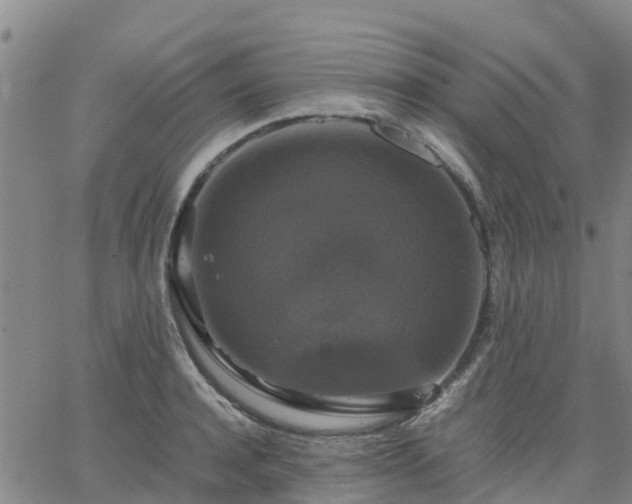 X0000063460944200601271601