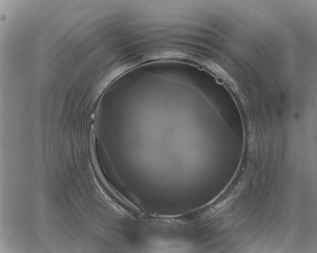 X0000063460945200601271601