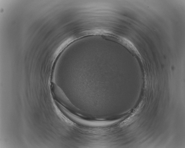 X0000063460946200601271601