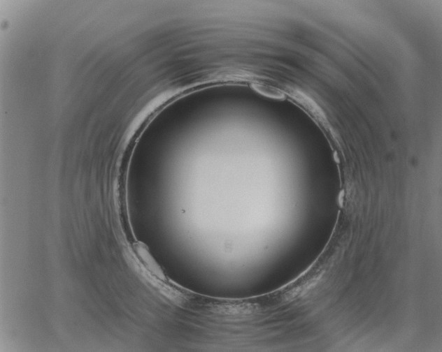 X0000063460947200601271601