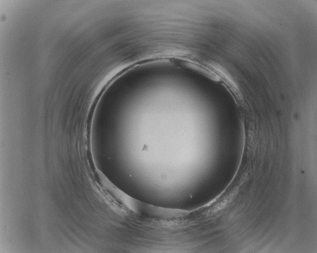 X0000063460948200601271601