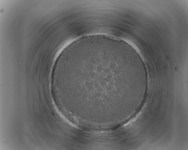 X0000063460949200601271601