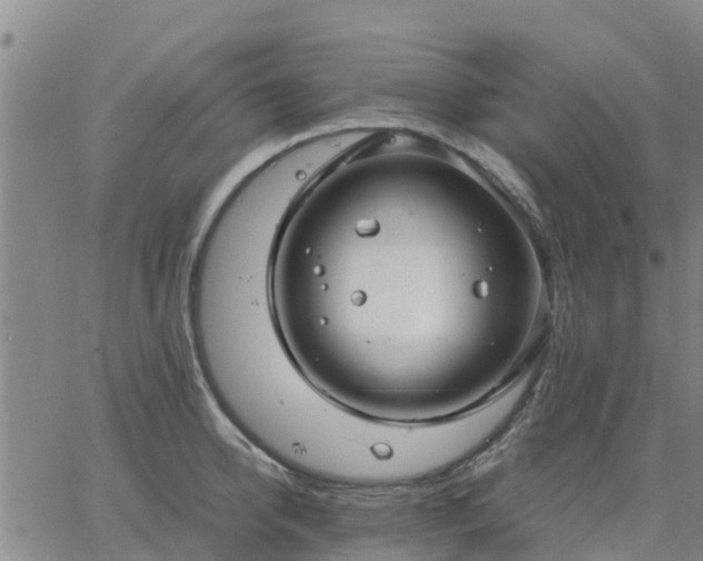 X0000063460950200601271601