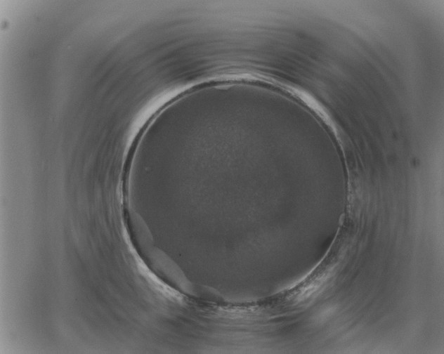 X0000063460951200601271601