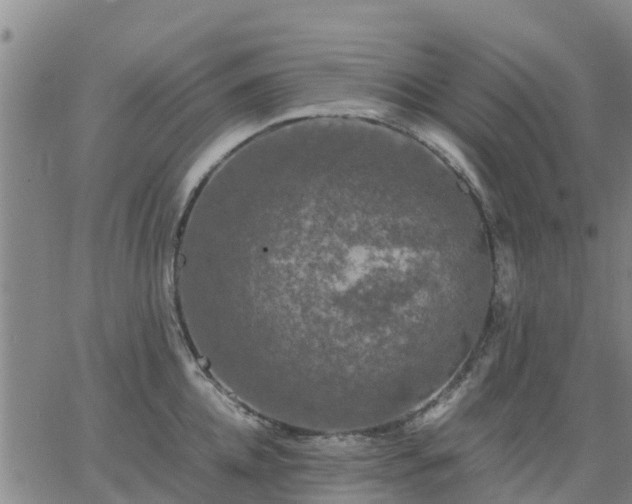 X0000063460952200601271601