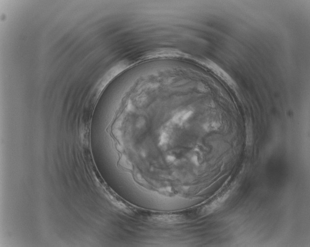 X0000063460953200601271601