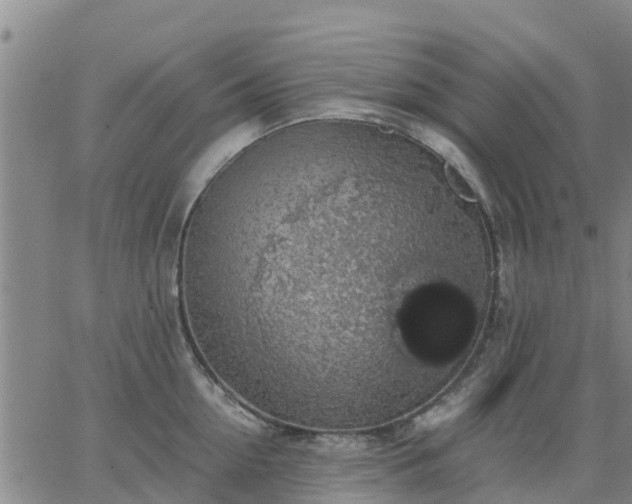 X0000063460954200601271601