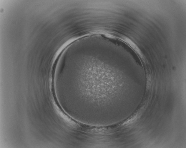 X0000063460955200601271601