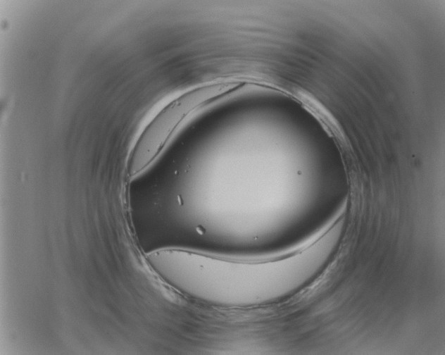 X0000063460956200601271601