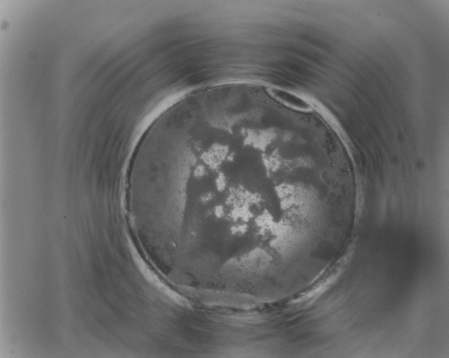 X0000063460957200601271601