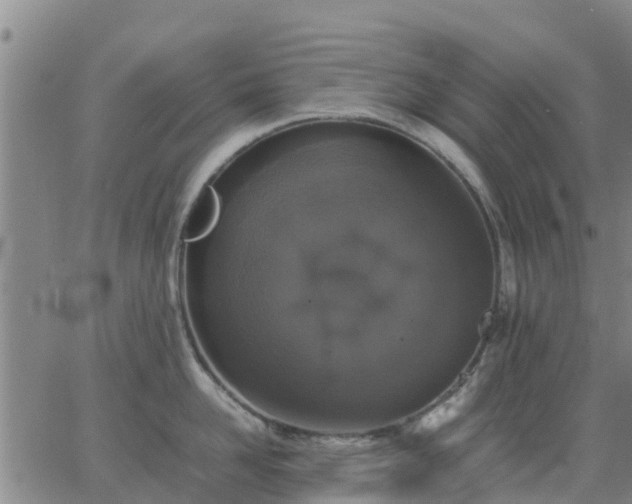 X0000063460958200601271601