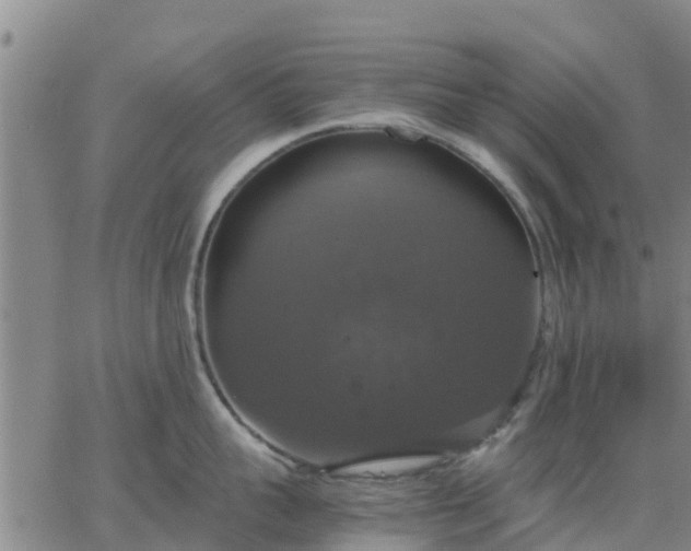 X0000063460959200601271601