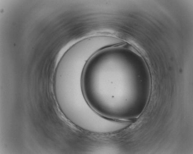 X0000063460960200601271601