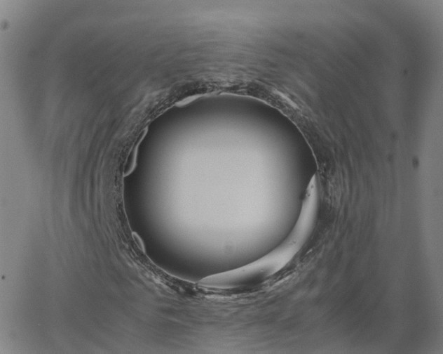 X0000063460961200601271600