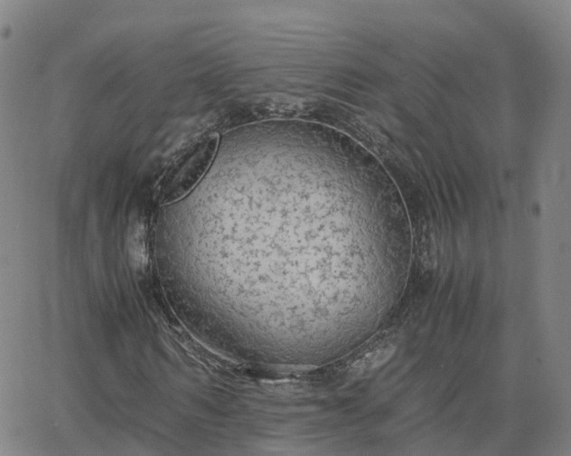 X0000063460962200601271600