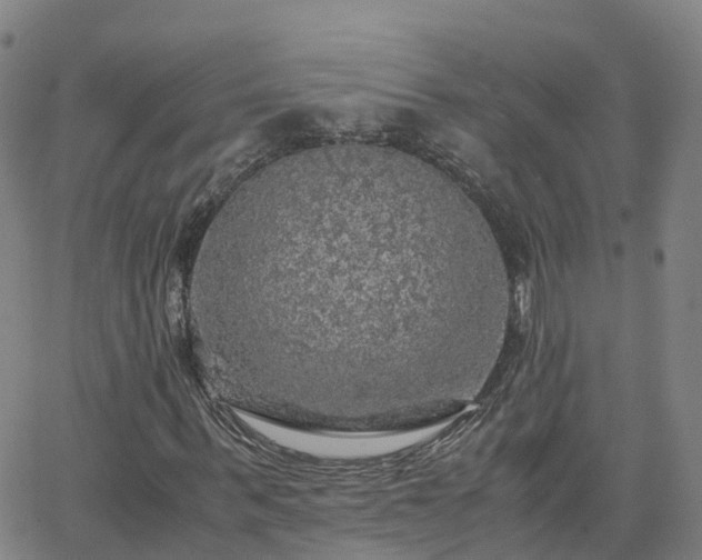 X0000063460963200601271600