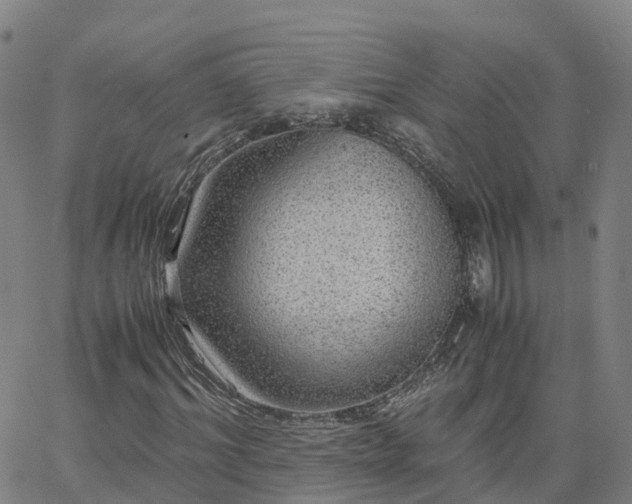 X0000063460964200601271600