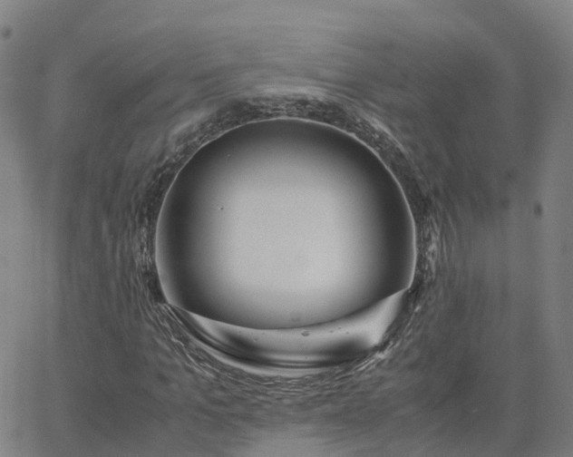 X0000063460965200601271600