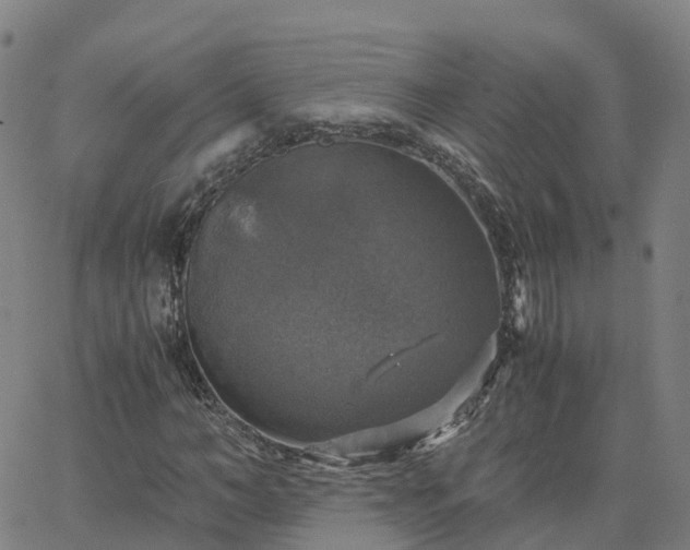 X0000063460966200601271600