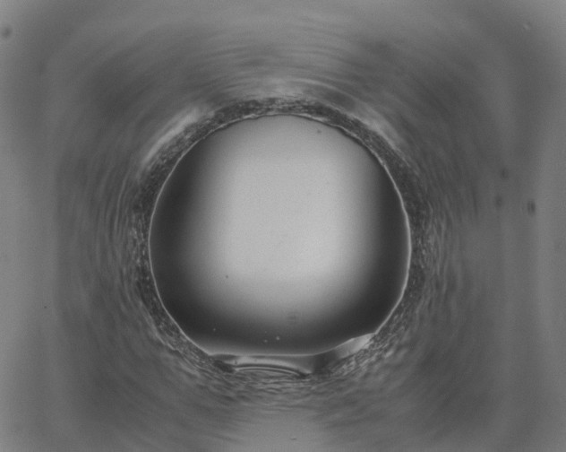 X0000063460967200601271600