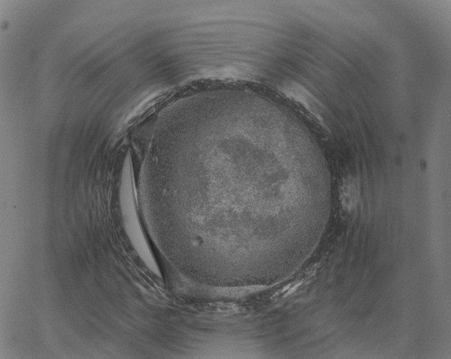 X0000063460968200601271600