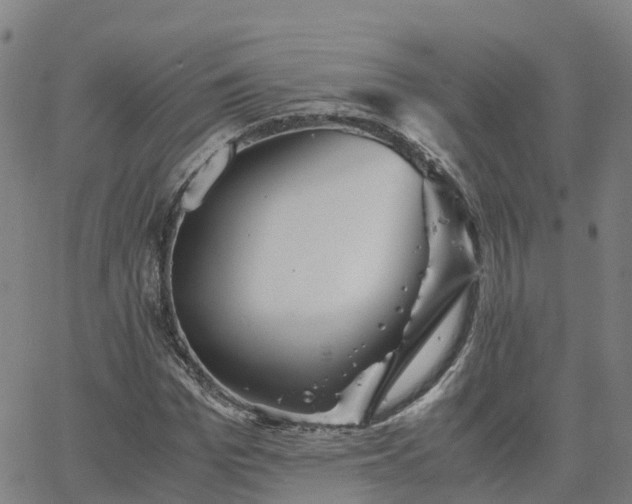 X0000063460969200601271600