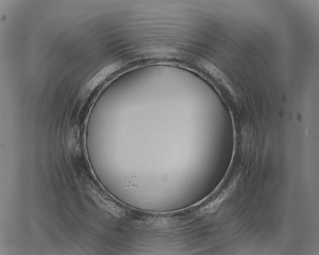 X0000063460970200601271600