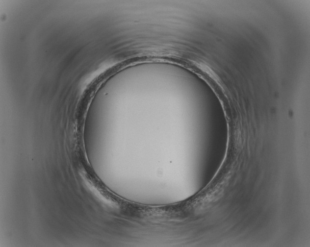 X0000063460971200601271600