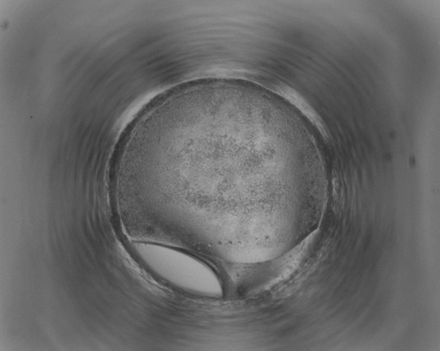 X0000063460972200601271600