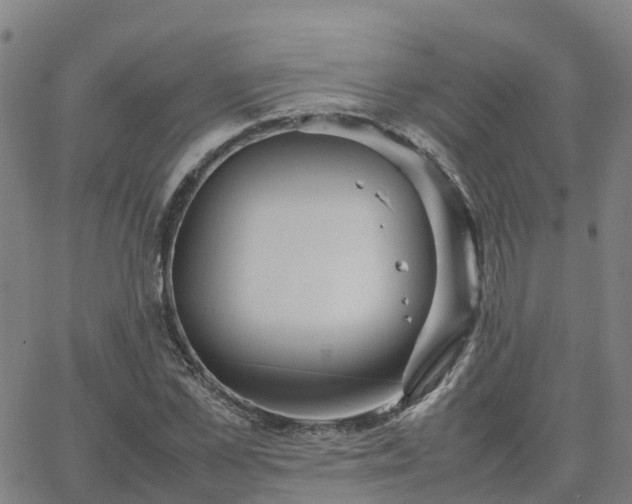 X0000063460973200601271600