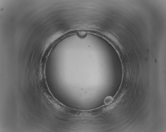 X0000063460974200601271600