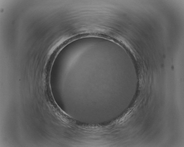 X0000063460975200601271600