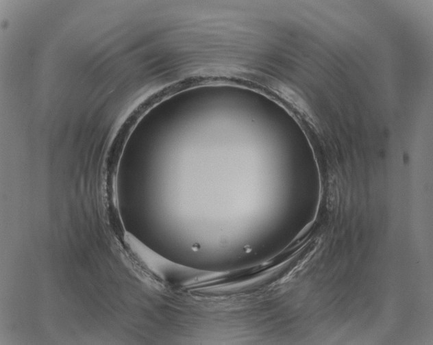 X0000063460976200601271600