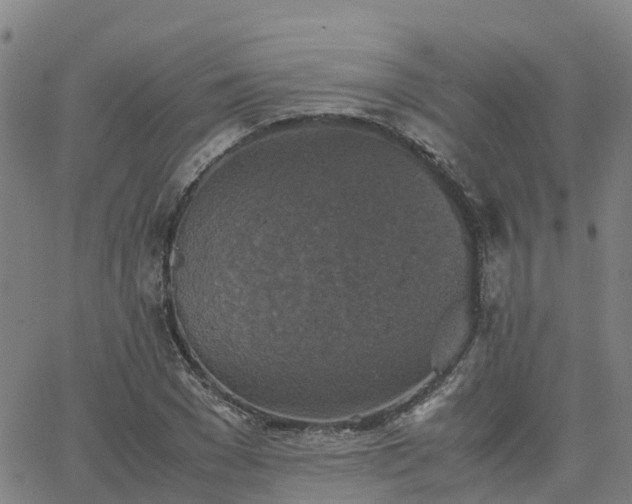 X0000063460977200601271600