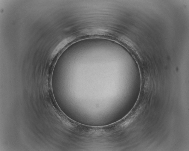 X0000063460978200601271600