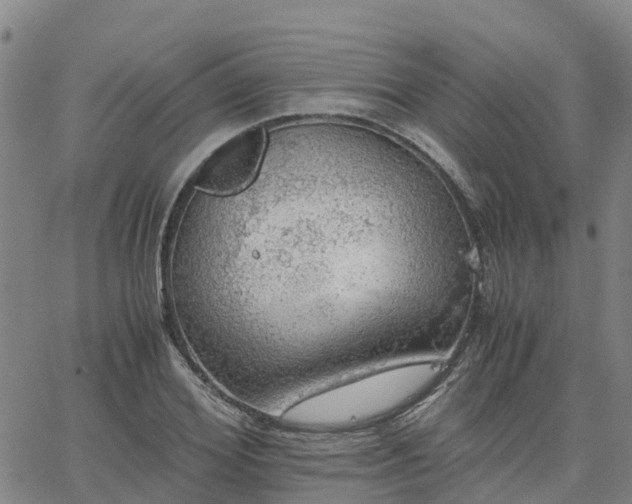 X0000063460980200601271600