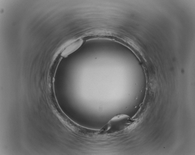 X0000063460981200601271600