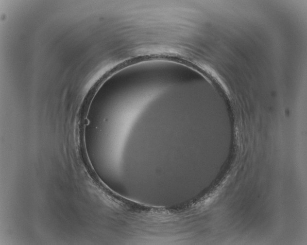 X0000063460983200601271600