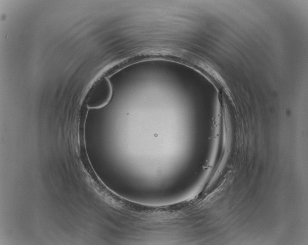 X0000063460984200601271600