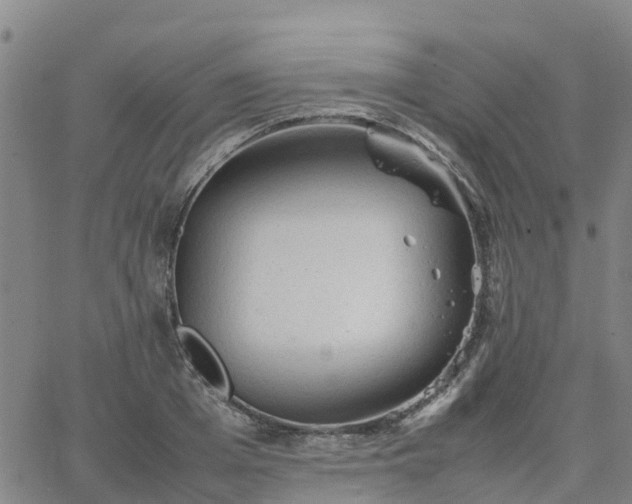 X0000063460985200601271600